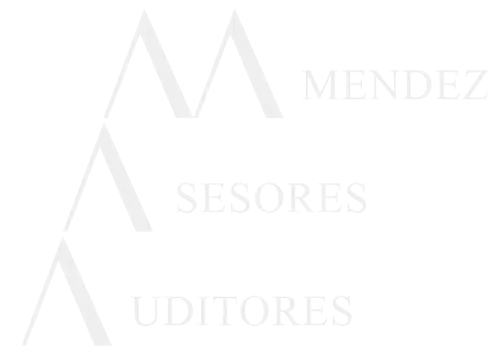 Méndez Asesores Auditores